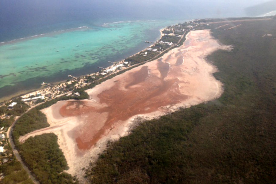 Aerial View of Booby Pond Nature Reserve 