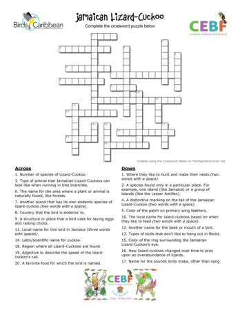 Jamaican Lizard-Cuckoo Crossword Puzzle