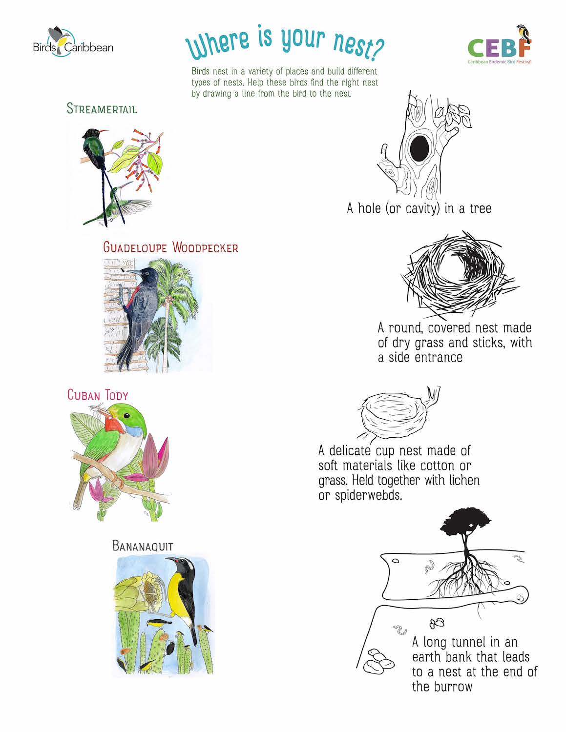 Aggregate 142+ birds nest drawing easy