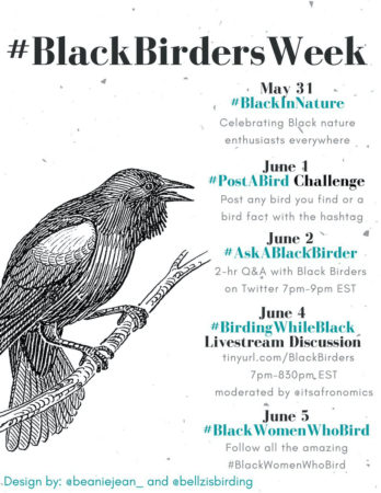 #BlackBirdersWeek flyer with list of events created by Sheridan Alford and Danielle Belleny. Full text at tinyurl.com/BlackBirdersText