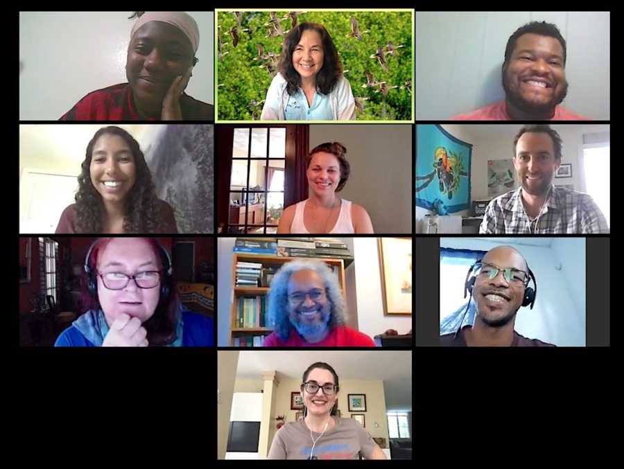 Zoom Call: 3 co-organizers of Black Birders Week talked with a few members of BirdsCaribbean leadership team: From left to right. Top row: Chelsea Connor, Lisa Sorenson, Alex Troutman. Second row: Amber Wendler, Jessica Rozek Cañizares, Justin Proctor. Third row: Emma Lewis, Howard Nelson, Ancilleno Davis. Fourth row: Adrianne Tossas