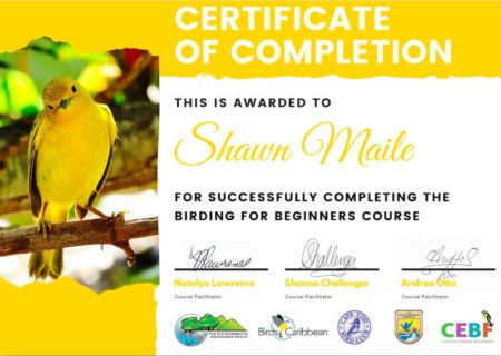 Birding Certificate