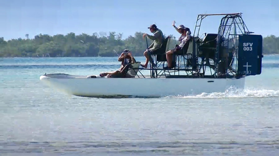 Airboat surveys for Piping Plovers, McCartney Flats, East Caicos, local guide Bibo with Beyond the Blue, Caleb Spiegel, Jen Rock, Elise Elliott-Smith