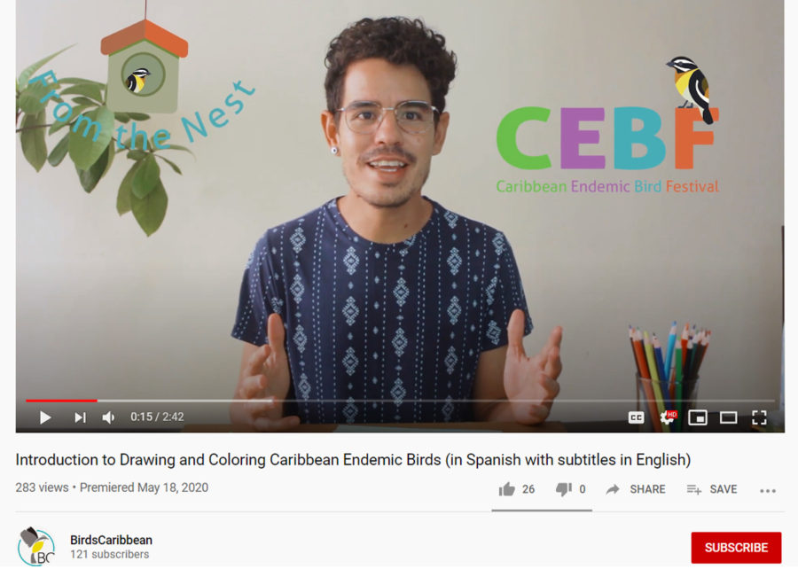Josmar's Drawing and Coloring Caribbean Endemic Birds YouTube Series