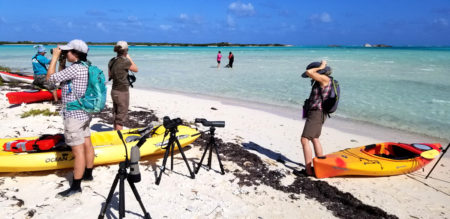 Survey crew on Little Ambergris Cay, South Caicos, Foreground Eric Salamanca (DECR), Sarah Neima and Jen Rock (Environment and Climate Change Canada) Elise Eliott-Smith (U.S. Geological Survey), Background Kathy Lockhart and Tyann Henry