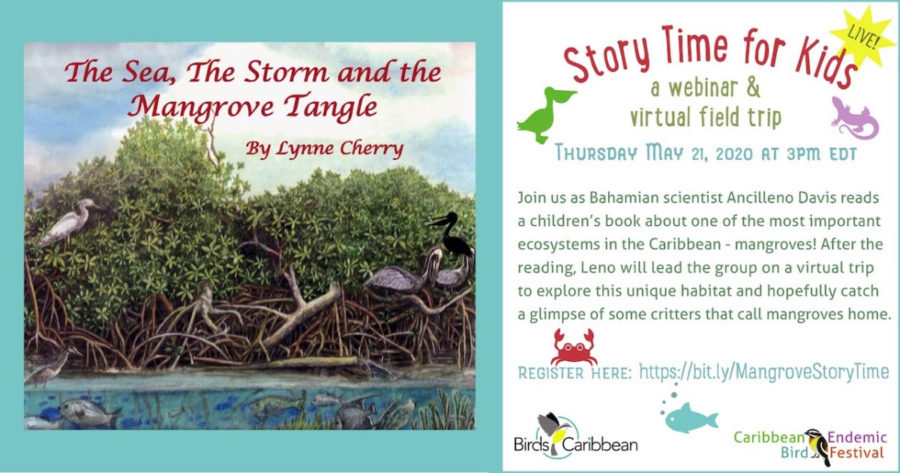 Mangrove Storytime with Kids Webinar