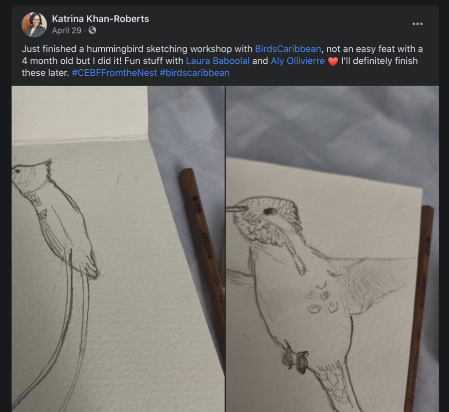 Social media post by a new BirdsCaribbean fan, Trinidadian Katrina Khan-Roberts, of her sketches from Christine Elder's Caribbean Hummingbirds Webinar