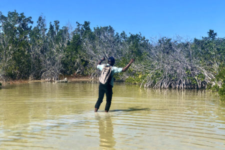 Dodley Prosper (formerly of DECR) surveying in the old sand pits of the Blue Hills area of Providenciales
