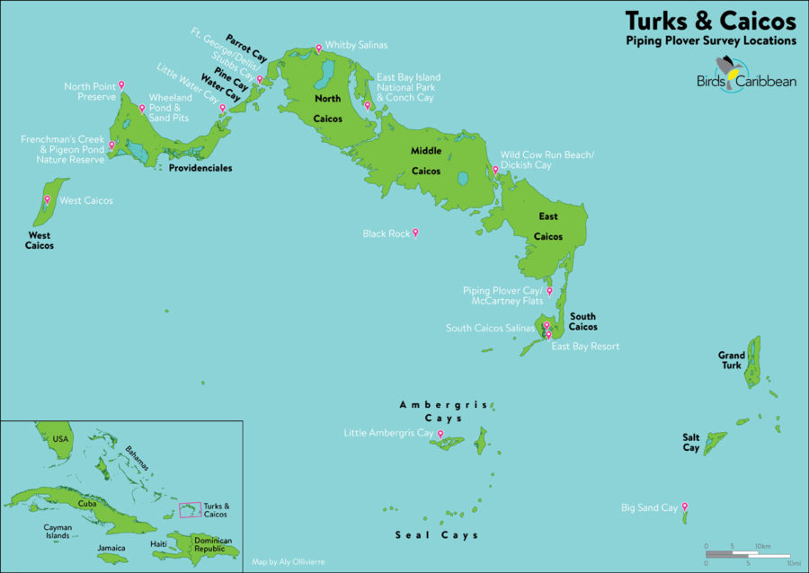 Piping Plover Survey Locations (Map by Aly Ollivierre)