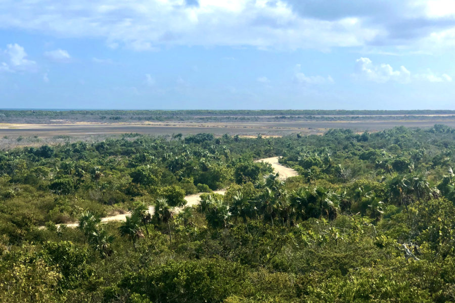 Extensive flats on West Caicos