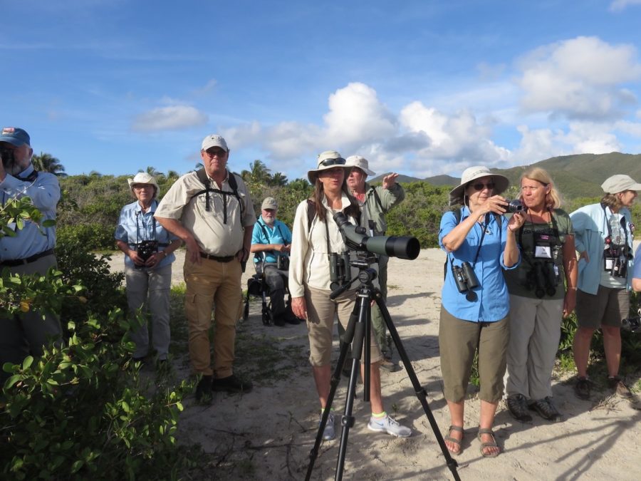Birding group in St. Maarten