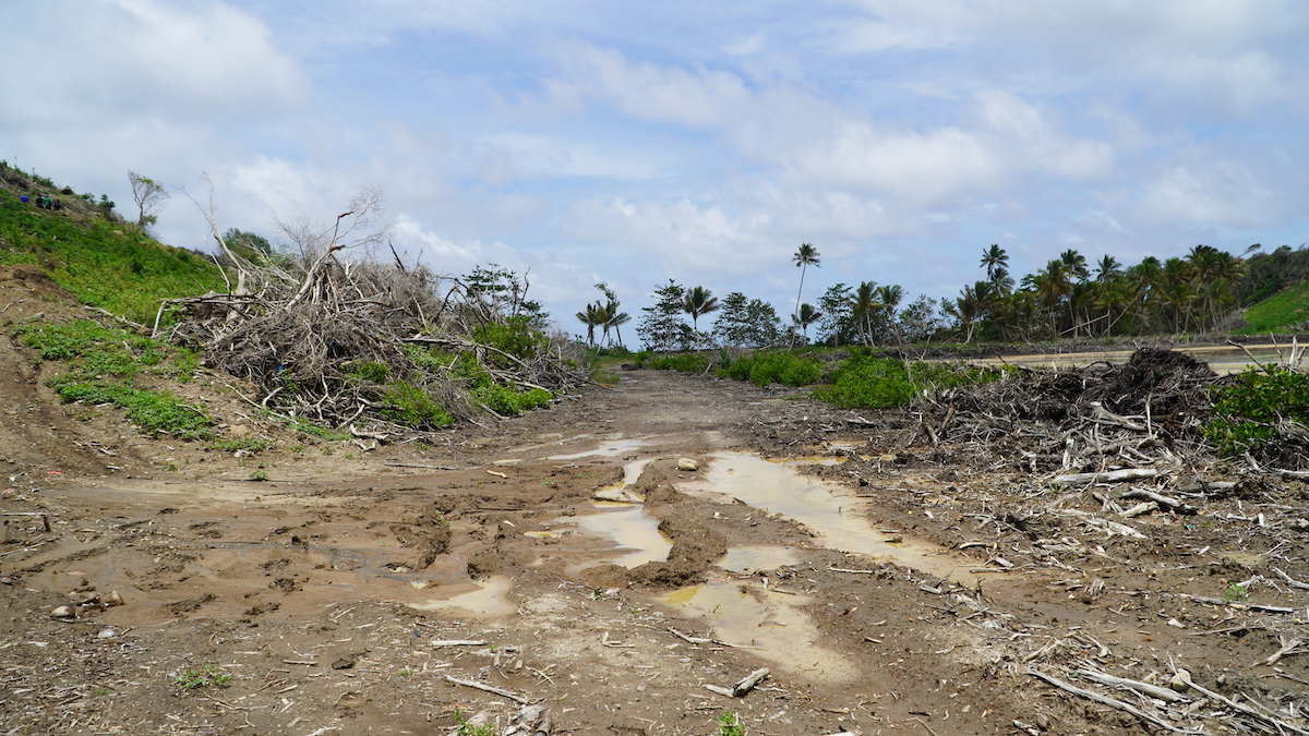 Deforestation-at-La-Sagesse-2