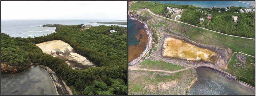 La Sagesse Pond Before and After-small