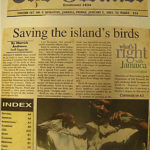 Jamaican Gleaner article about the Audubon's Shearwater found in Jamaica