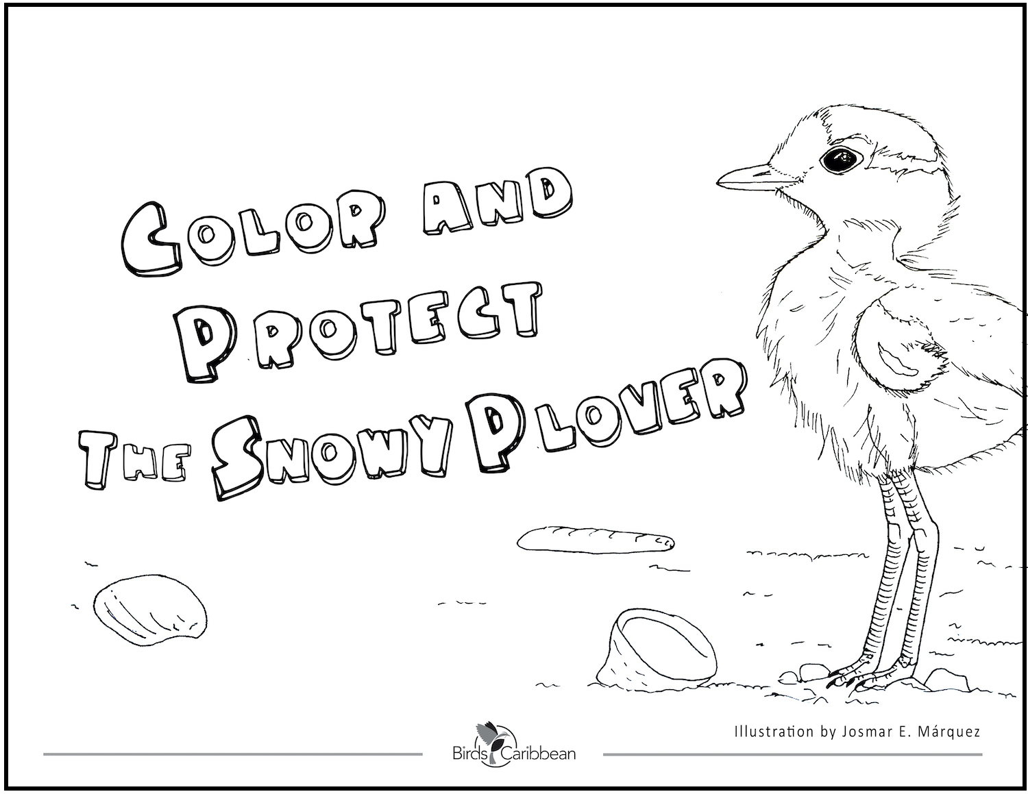 New Coloring Book Color And Protect The Snowy Plover English And Spanish Birdscaribbean