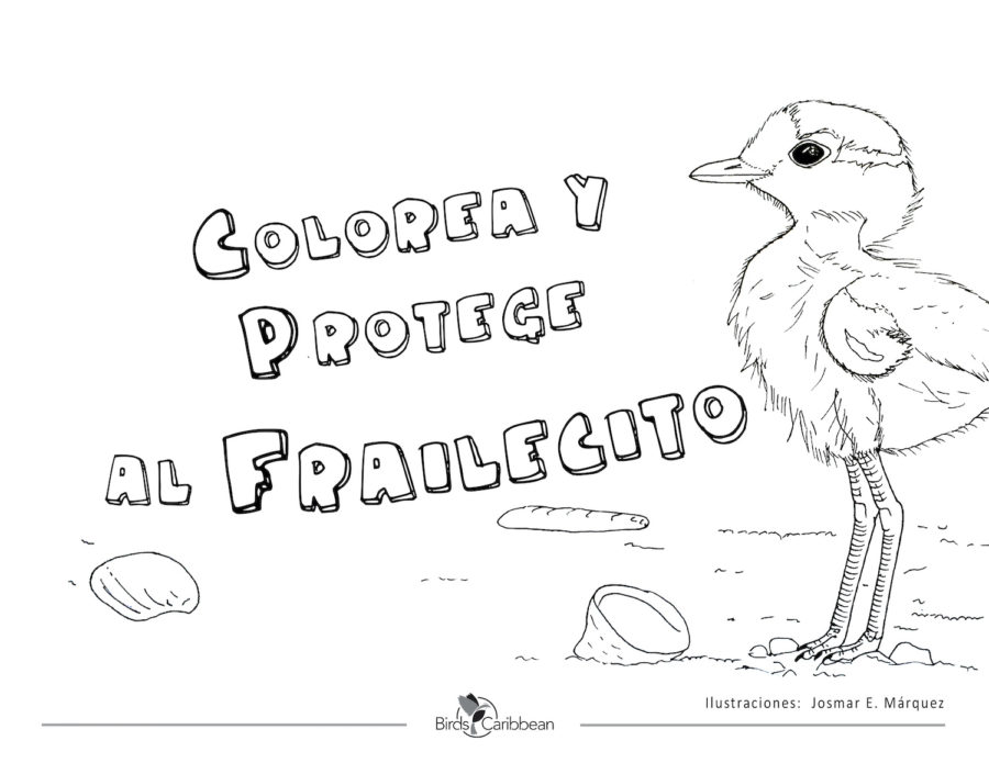 New Coloring Book: Color and Protect the Snowy Plover – English and ...