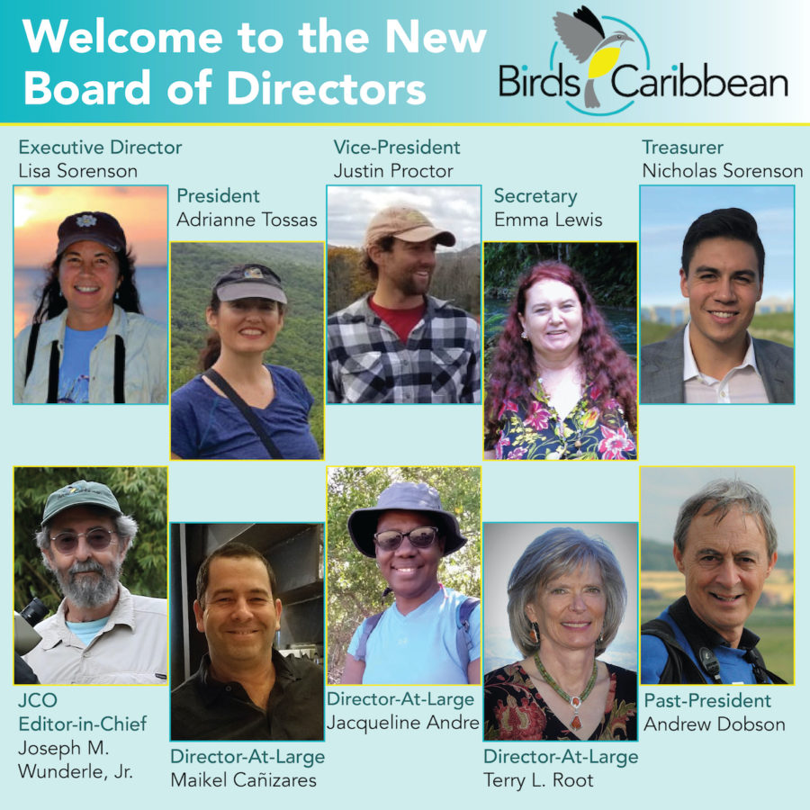 BirdsCaribbean Board of Directors 2021-2022