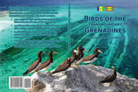 Cover of 'Birds of the Transboundary Grenadines' book 