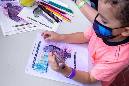 Child coloring in a Ridgeway's Hawk