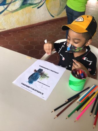 Child coloring in a Ridgeway's Hawk