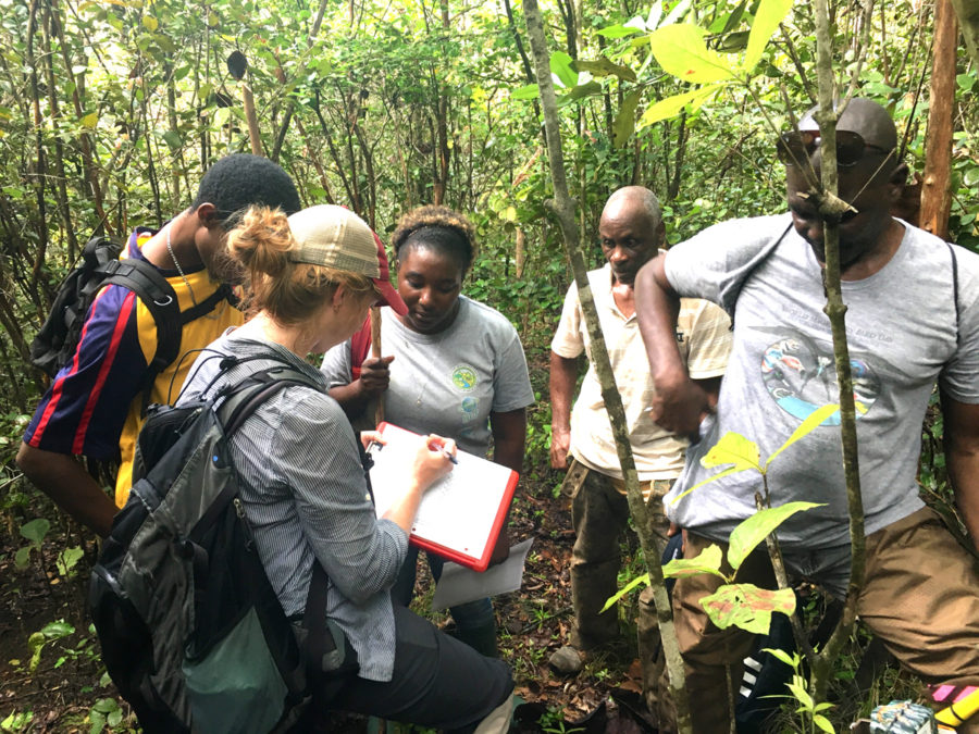 Jennifer Mortensen, from the University of Arkansas, retrieving camera trap data with a team of conservationists from the Saint Lucia Forestry Department, including Stephen Lesmond, Therence Eugene, Jeannette Victor, and Jonathan Cornibert (from right to left).