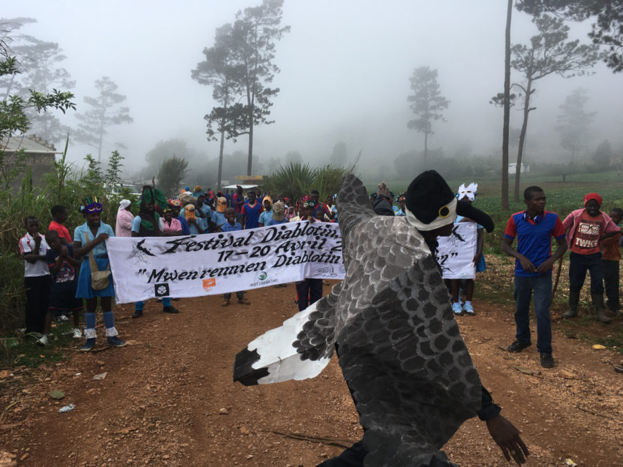 Black-capped Petrel mascot leading the parade for the Diablotin Festival