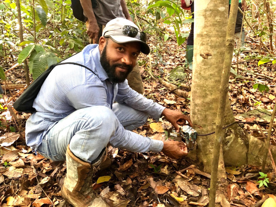 Pius Haynes sets up a camera trap at the correct height to take photos of our target mammal species. The camera is triggered by motion and will take a photo when an animal passes by