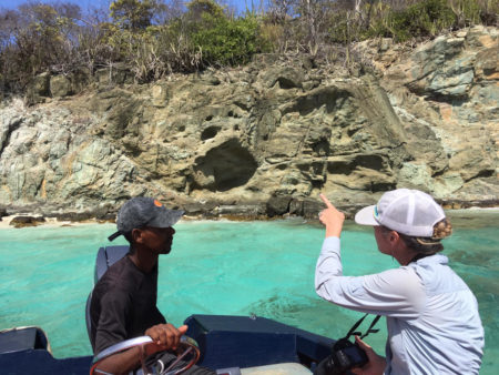 Seabird guardians surveying seabirds