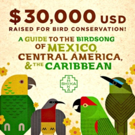 Bird graphic for money raised for bird conservation