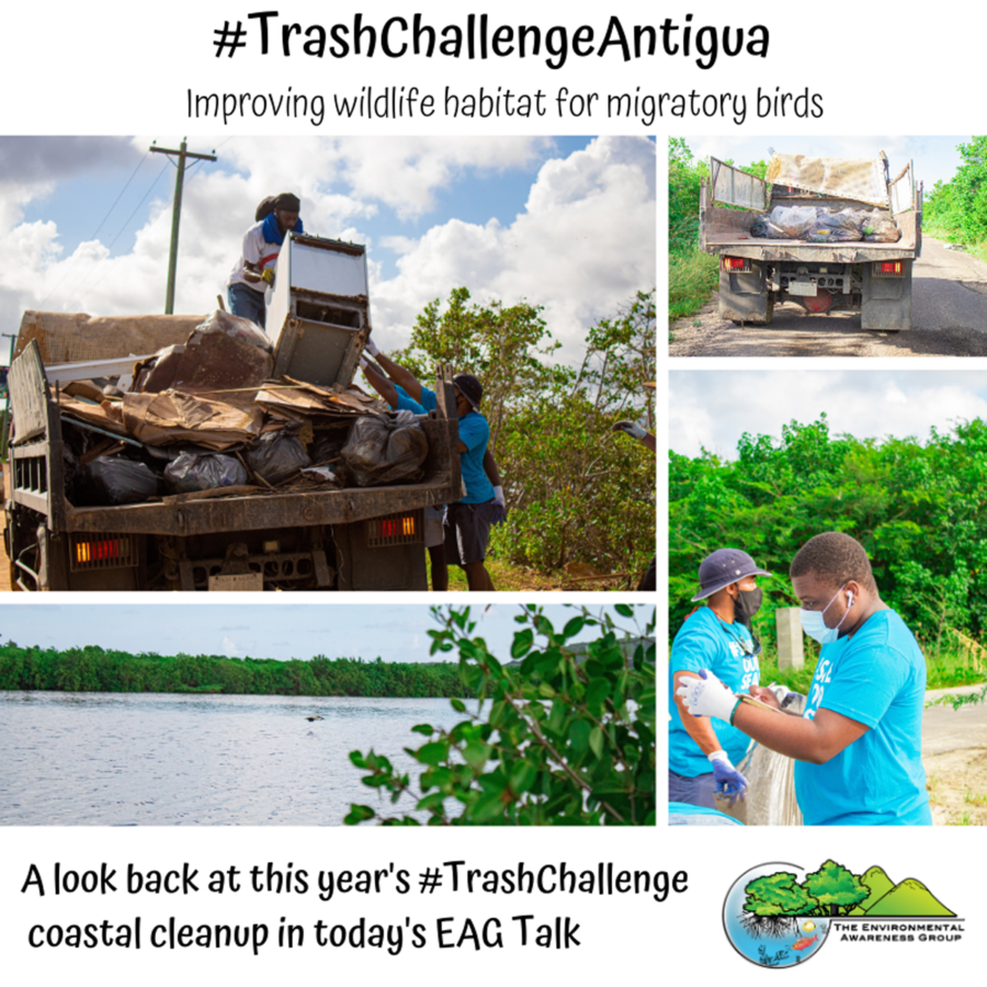 #TrashChallengeAntigua 