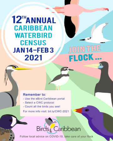 Flyer for the 2021 annual Caribbean Waterbird Census 