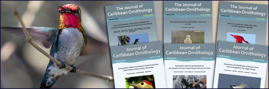 Bee Hummingbird and Journal of Caribbean Ornithology covers