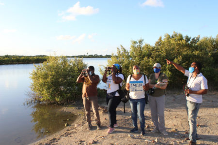 Birders carrying out a CWC survey 