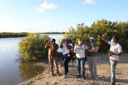 Birders carrying out a CWC survey