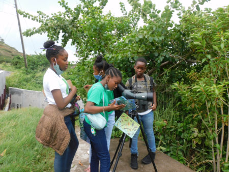 Students of the Brades Primary School identifying shorebirds at Carr’s Bay Montserrat