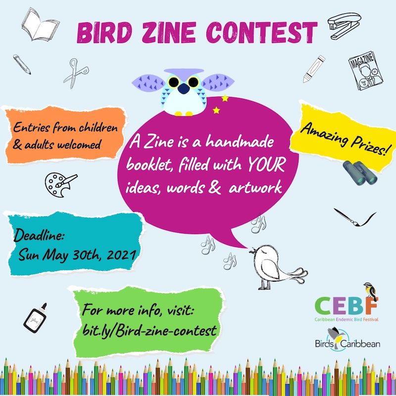 Caribbean Endemic Bird Festival 2021 encourages participants to “Sing, Fly,  Soar — Like A Bird” – BirdsCaribbean