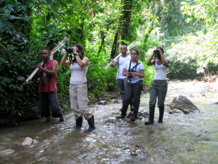 Dominican field crew sets out to survey and capture Louisiana Waterthrush