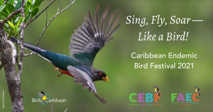 Hispaniolan Trogon CEBF 2021 graphic