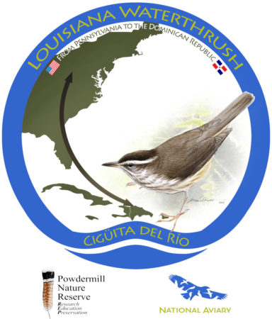 Waterthrush project logo