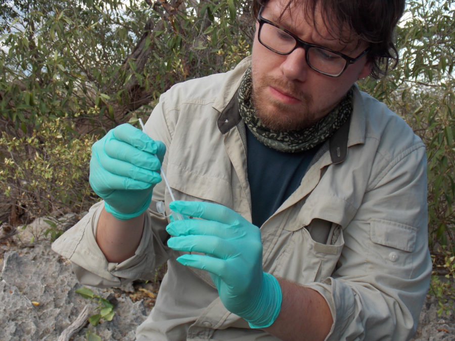 Brian Trevelline from Duquesne University collects Waterthrush fecal samples