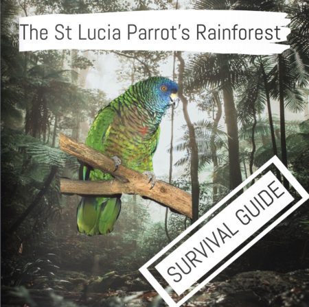 St-Lucia-Parrot-Zine-cover
