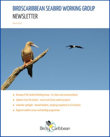 BirdsCaribbean Seabird Working Group Newsletter cover 