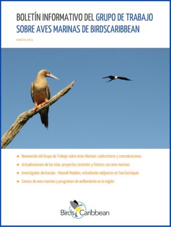 BirdsCaribbean Seabird Working Group Newsletter in Spanish - cover
