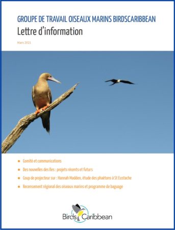 BirdsCaribbean Seabird Working Group Newsletter in French - cover