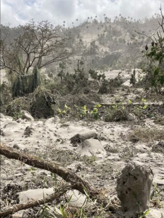 Valley on the Leeward side of St. Vincent showing severe damage to trees and vegetation. (photo by Richard Robertson, UWI Seismic Research Centre)