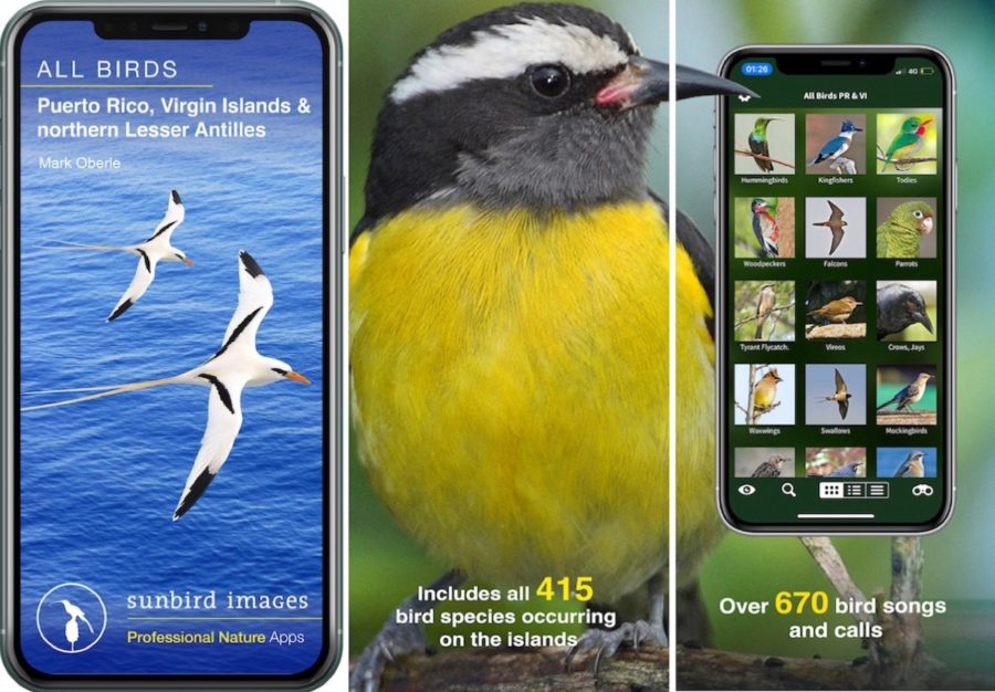 Birding app images