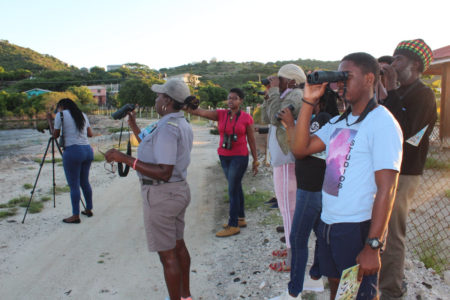 People learning bird ID during a CWC training workshop