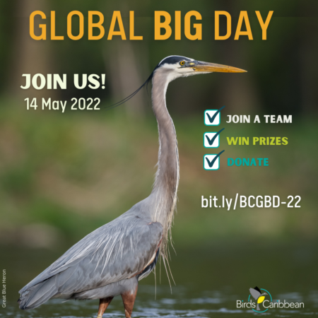 Graphic promoting Global Big Day on May 14, 2022