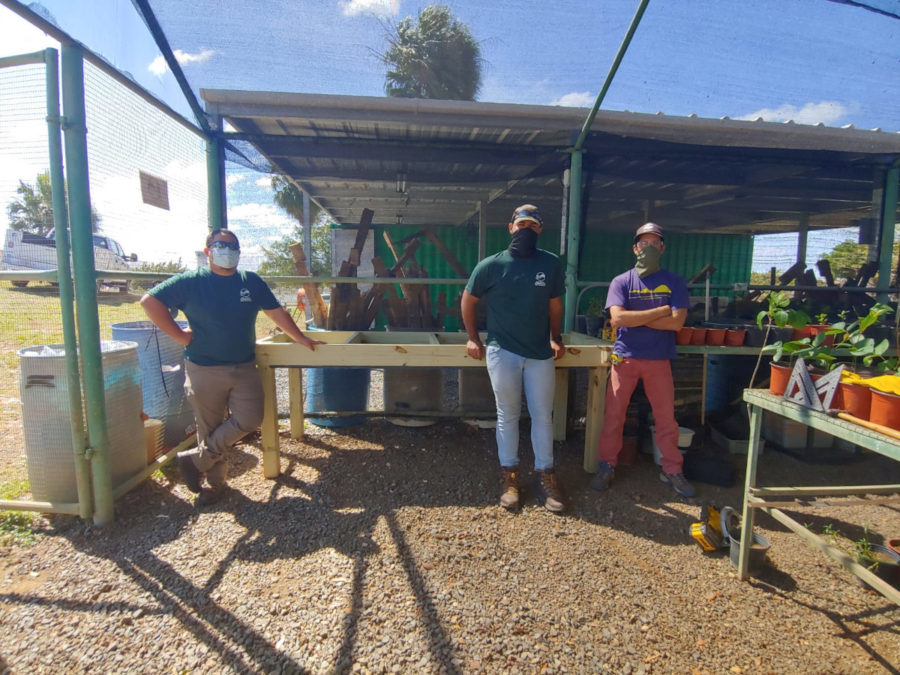 The Magrove Nursery Team in the greenhouse