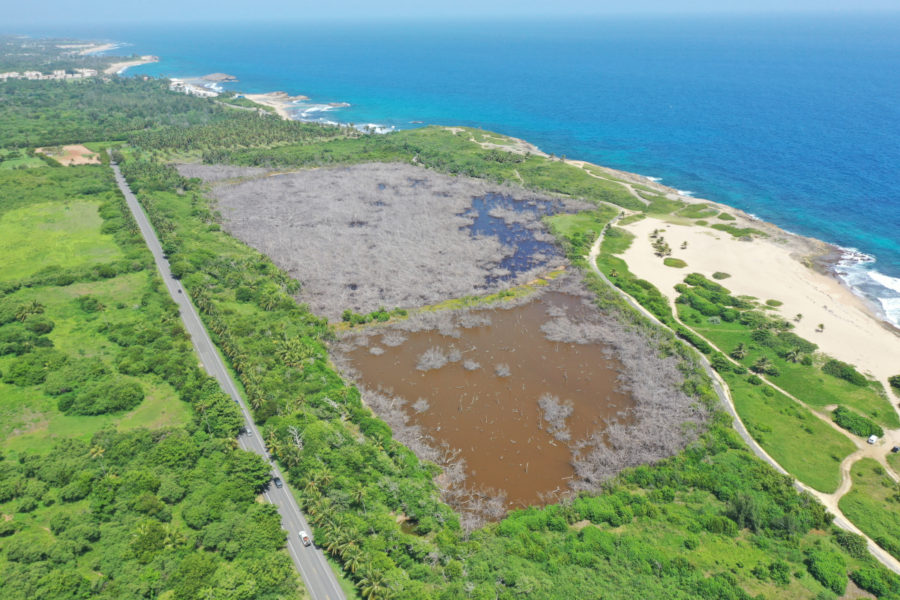 Damaged basin Mangrove in the Municipality of Isabela.